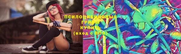 мяу мяу мука Алексин